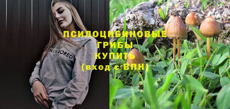 Псилоцибиновые грибы ЛСД  Вихоревка 